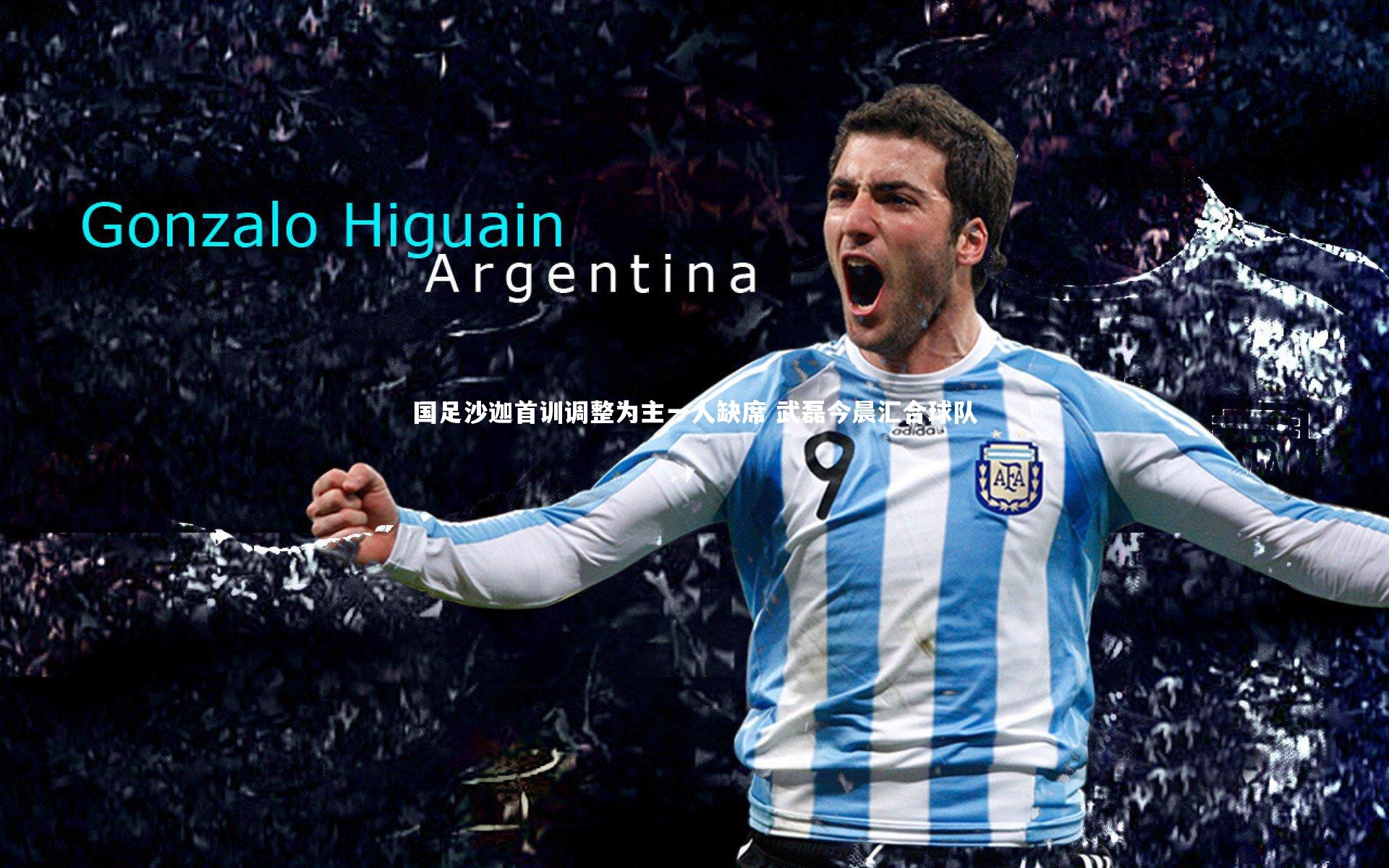 国足沙迦首训调整为主一人缺席 武磊今晨汇合球队